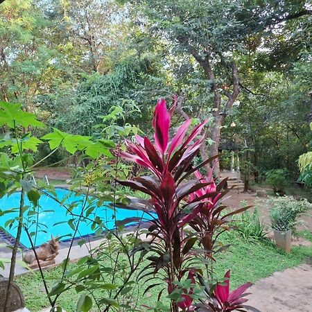 Villa Habarana Kültér fotó