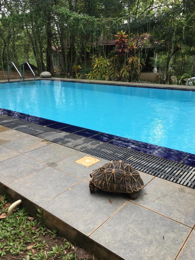 Villa Habarana Kültér fotó