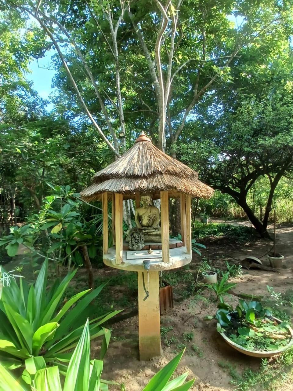 Villa Habarana Kültér fotó