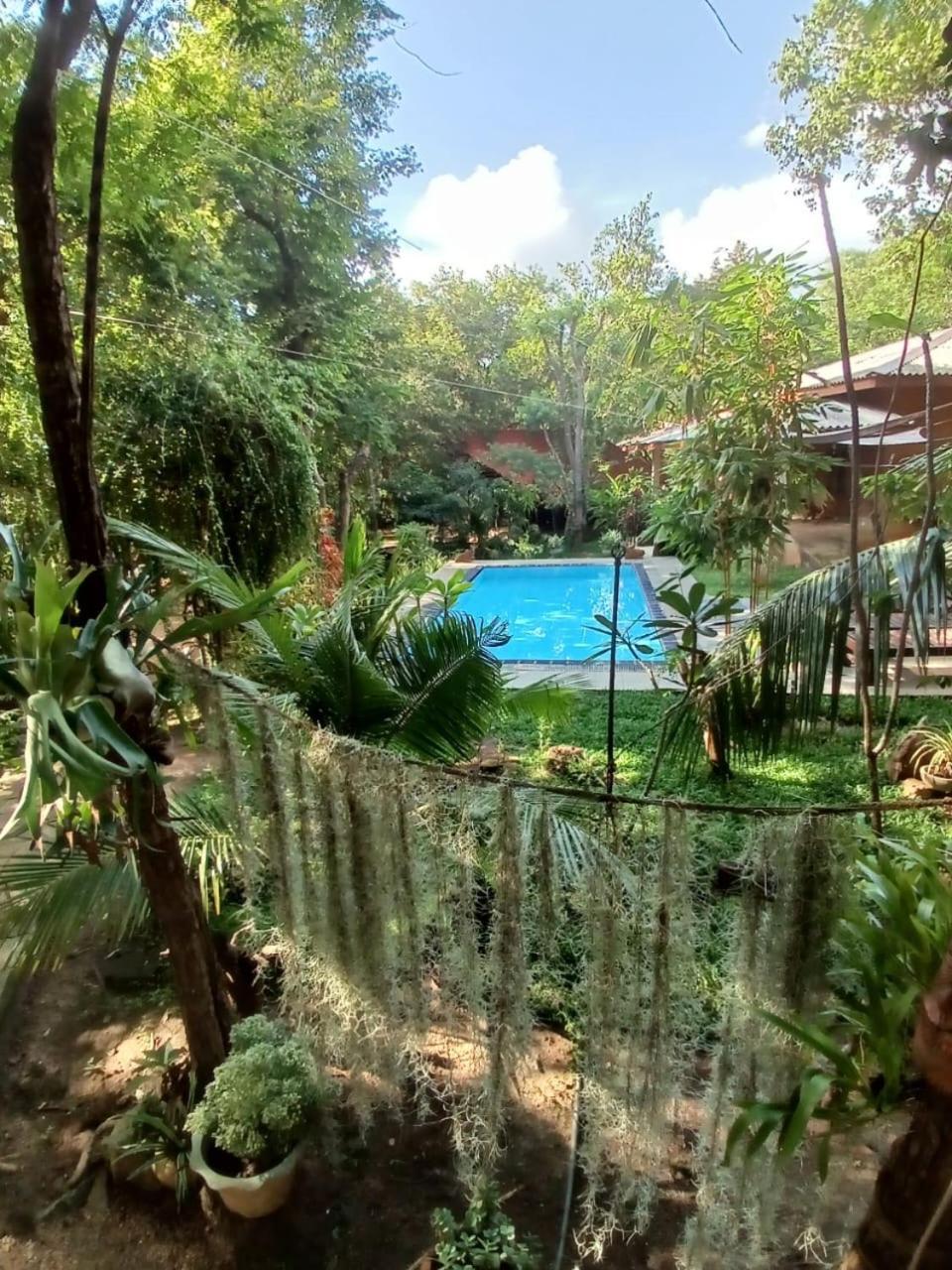 Villa Habarana Kültér fotó