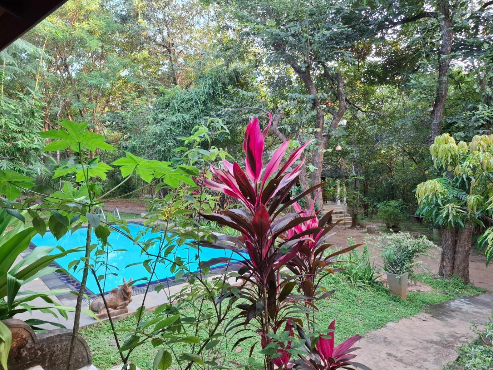 Villa Habarana Kültér fotó
